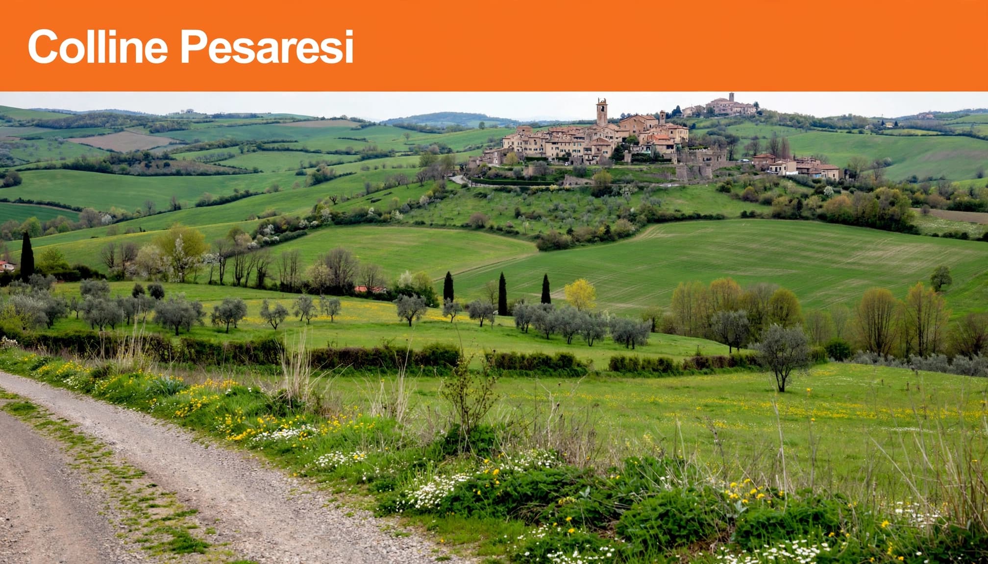 Campi primaverili davanti al borgo di Novilara.